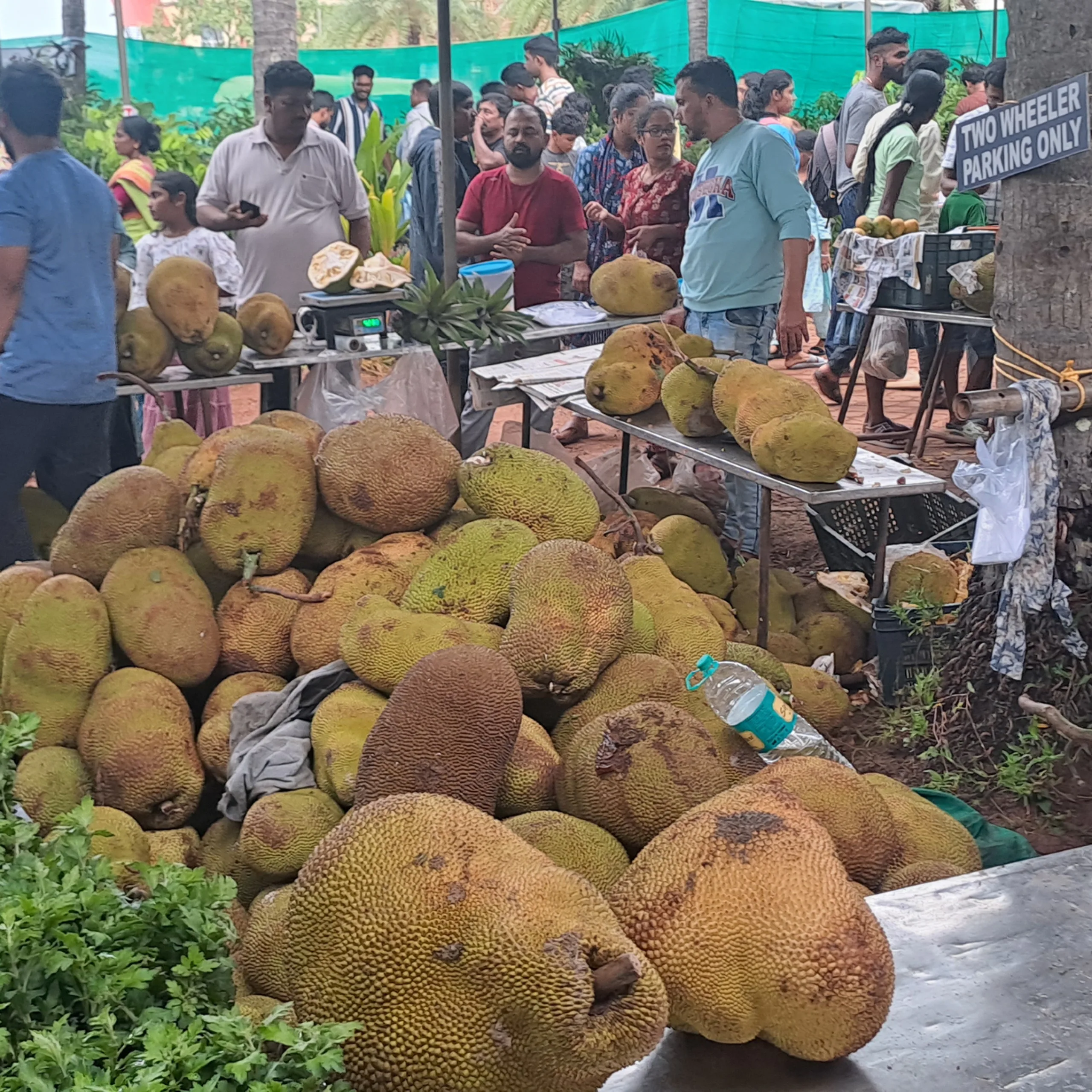 ಬ್ರಹ್ಮಾವರ : ಹಲಸು ಹಾಗೂ ಹಣ್ಣು ಮೇಳ ಉದ್ಘಾಟನೆ