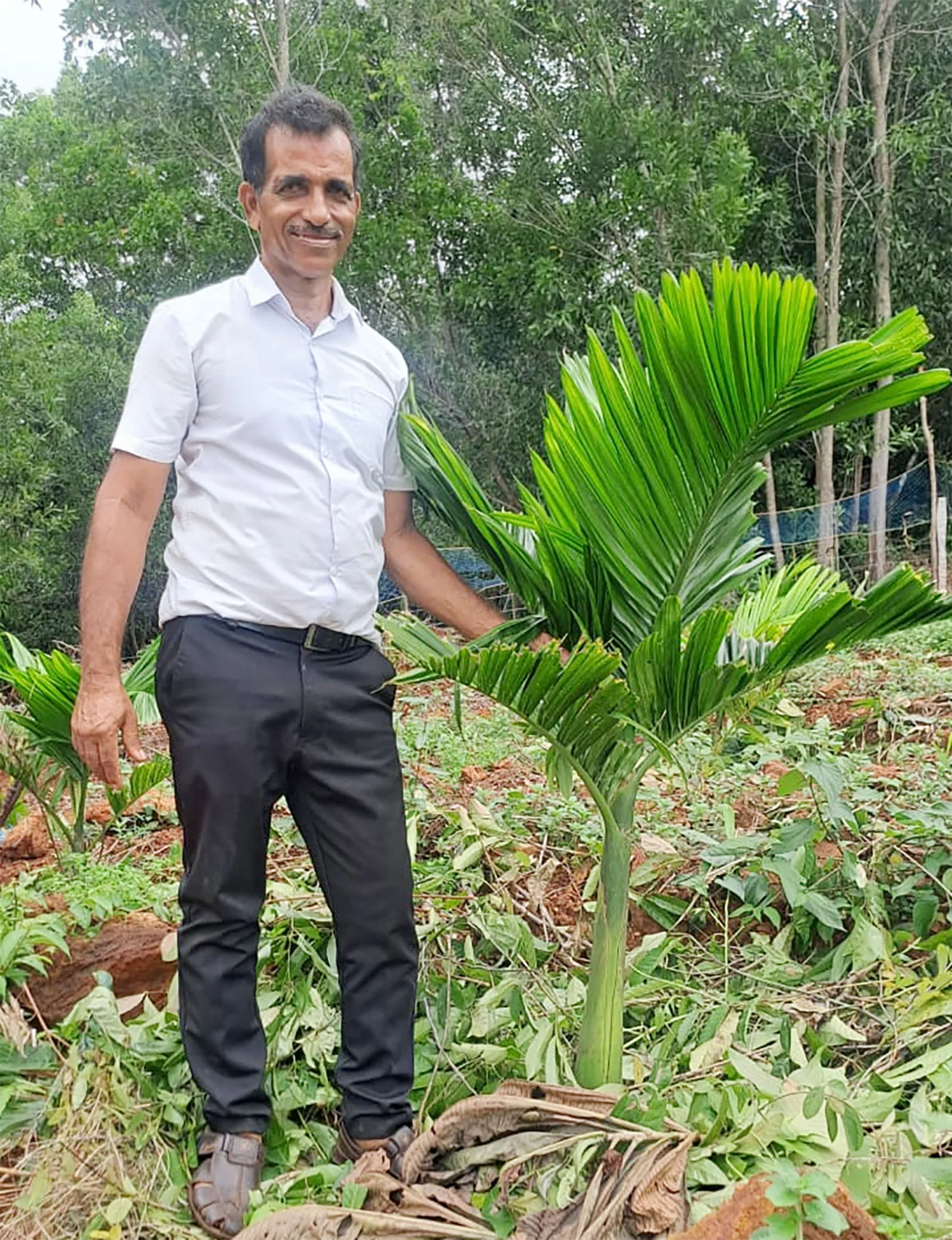 ಅಡಿಕೆ ಕೃಷಿಯಲ್ಲಿ ಯಶೋಗಾಥೆ: ಸ್ವರ್ಣಶಿಲ್ಪಿಯಿಂದ ಯಶಸ್ವಿ ಕೃಷಿಕರಾದ ನೀರ್ಕೆರೆ ಬಾಬು ಆಚಾರ್ಯ
