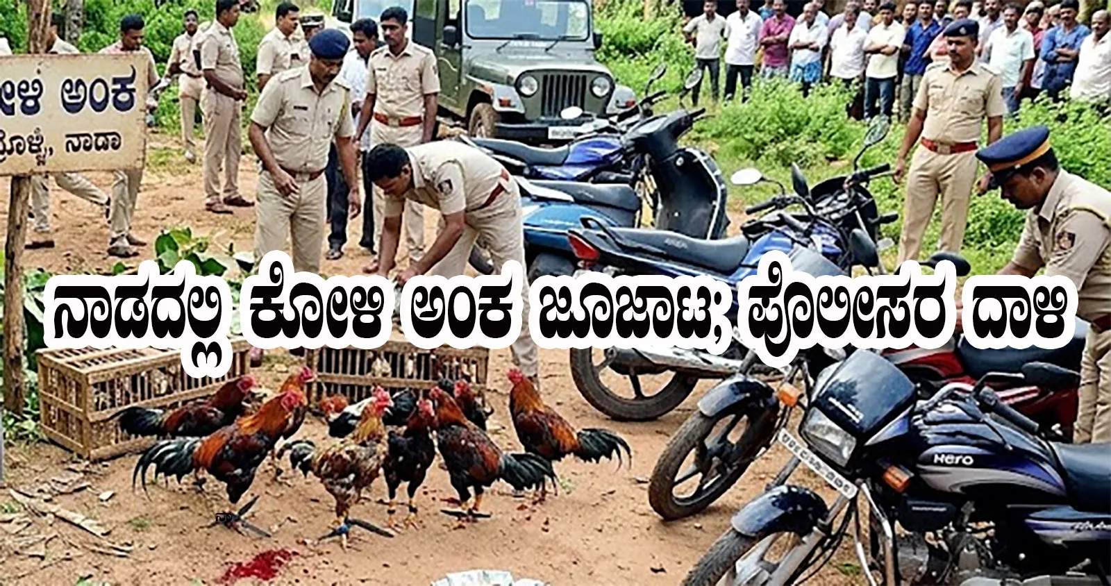 ನಾಡದಲ್ಲಿ ಕೋಳಿ ಅಂಕ ಜೂಜಾಟ; ಪೊಲೀಸರ ದಾಳಿ, ಇಬ್ಬರ ಬಂಧನ